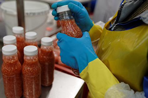 ST. PETERSBURG, RUSSIA - FEBRUARY 28, 2017: Worker packaging ajika sauce in a food processing plant. The Factory of Homemade Pickles participates in the regional quality certification program