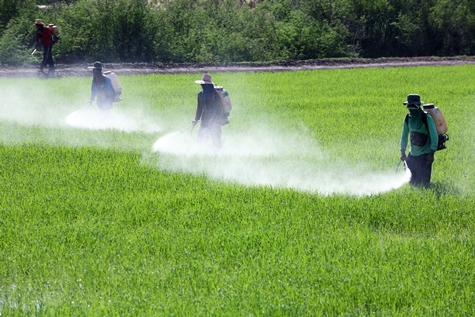 Men spraying farm field with pesticide