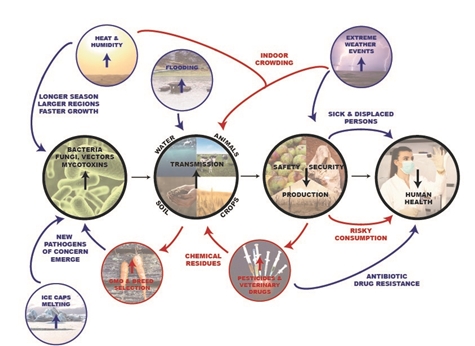 climate change food safety