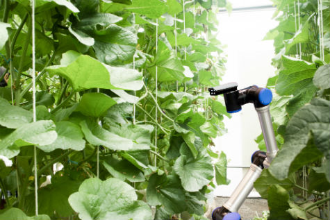 vertical farming website