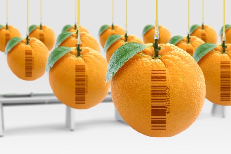 oranges blog